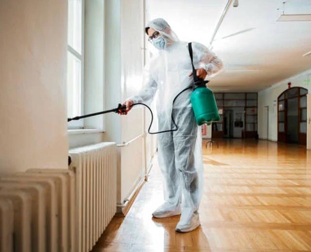 Dératisation par Control Insectes à Paris (75)